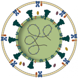 Schemes and illustrations